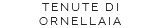 TENUTE DI ORNELLAIA
